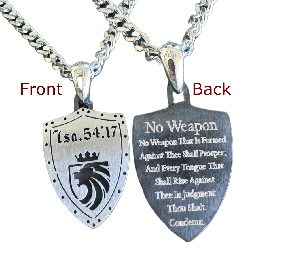 1611 No Weapon Shield